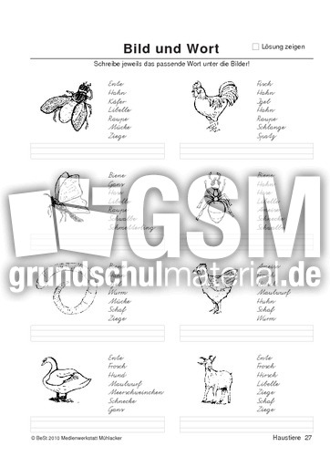 BuW Haustiere27.pdf